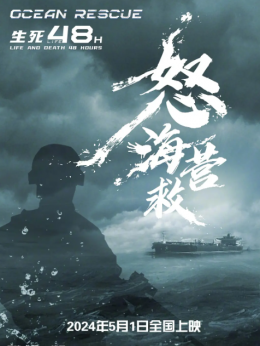怒海营救